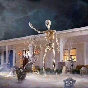 Home Accents Holiday 12 ft Giant-Sized Skeleton with LifeEyes(TM) LCD Eyes